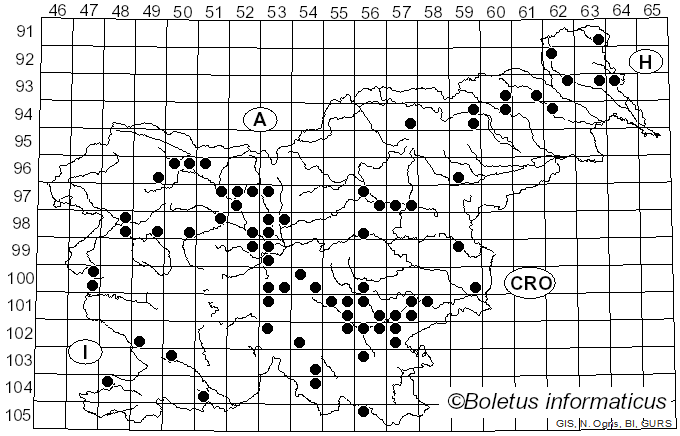 <i>Bulgaria inquinans</i> (Pers.) Fr. (1822)