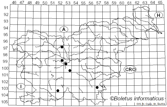 <i>Hygrophorus purpurascens</i> (Alb. & Schwein.) Fr.