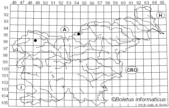 <i>Bacidia incompta</i> (Borrer ex Hook.) Anzi (1860)