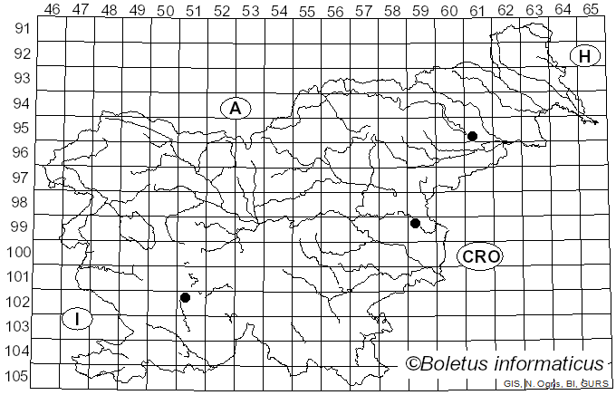 <i>Tubaria praestans</i> (Romagn.) M.M. Moser (1978)
