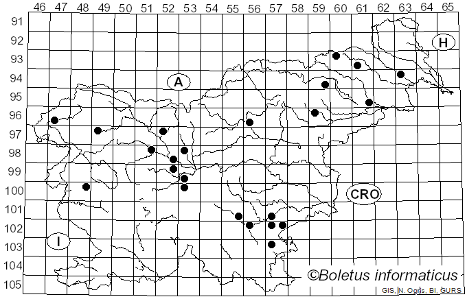 <i>Gymnopus ocior</i> (Pers.) Antonín & Noordel. (1997)