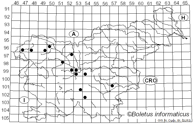 <i>Trichoglossum</i> Boud. (1885)
