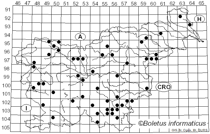 <i>Diatrype disciformis</i> (Hoffm.) Fr. (1849)