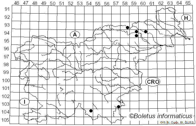 <i>Hapalopilus salmonicolor</i> (Berk. & M.A. Curtis) Pouzar (1967)
