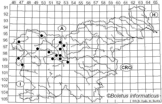 <i>Urocystis anemones</i> (Pers.) G. Winter (1880)