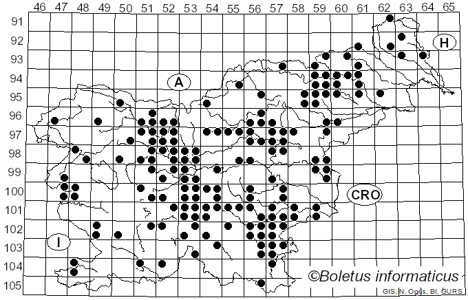 <i>Hygrophorus nemoreus</i> (Pers.) Fr. (1838)