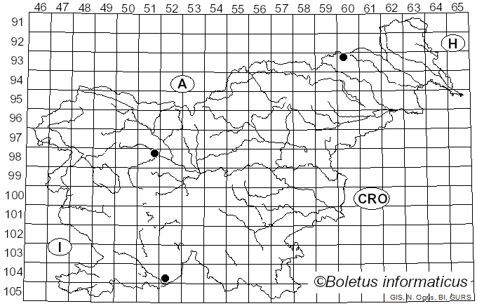 <i>Hygrocybe paraceracea</i> Bon (1989)