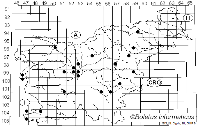 <i>Stigmella plagicolella</i> Stainton (1854)