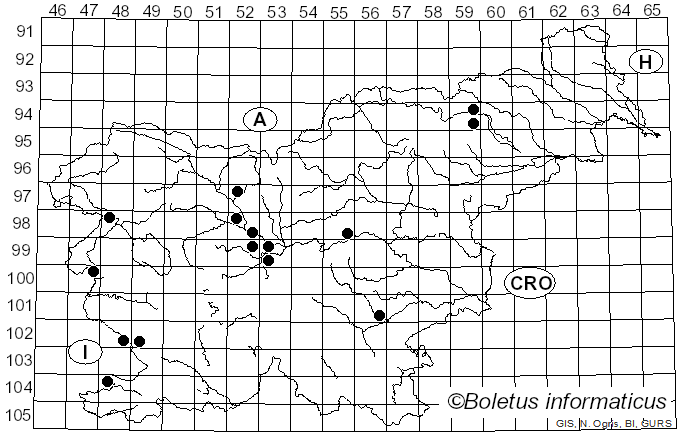 <i>Leucoagaricus pudicus</i> (Bull.) Bon (1981)