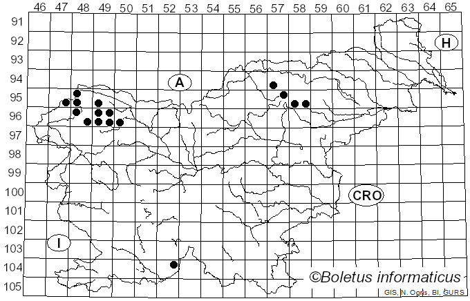 <i>Cetraria islandica</i> subsp. <i>islandica</i> (L.) Ach. (1803)