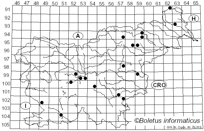 <i>Lactarius flexuosus</i> (Pers.) Fr. (1821)