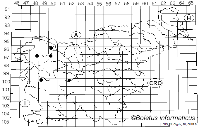 <i>Meligramma</i> Frey (1946)