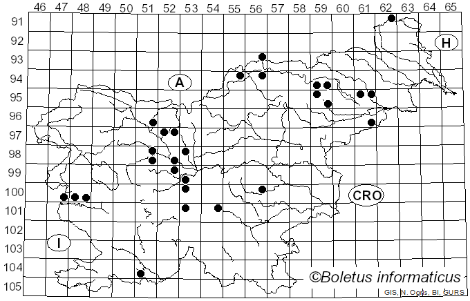 <i>Lanzia echinophila</i> (Bull.) Korf (1982)