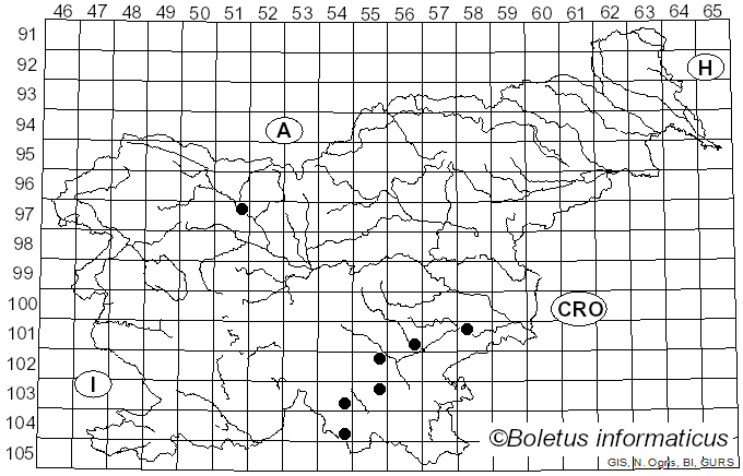 <i>Gloeocystidiellum</i> Donk (1931)
