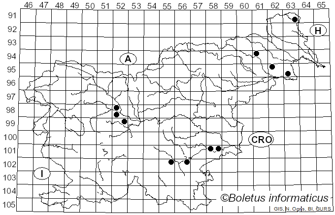 <i>Phleogena faginea</i> (Fr.) Link (1833)