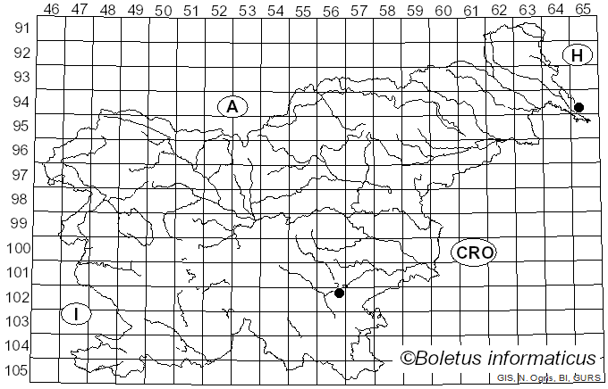 <i>Cytospora chrysosperma</i> (Pers.) Fr. (1818)
