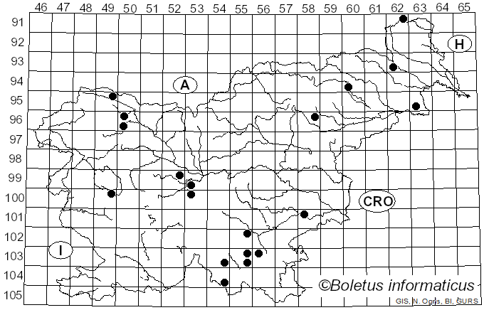 <i>Rigidoporus</i> Murrill (1905)