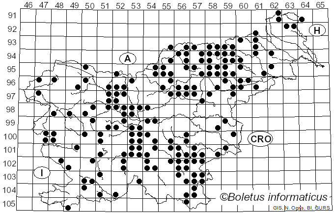 <i>Tapinella</i> E.-J. Gilbert (1931)