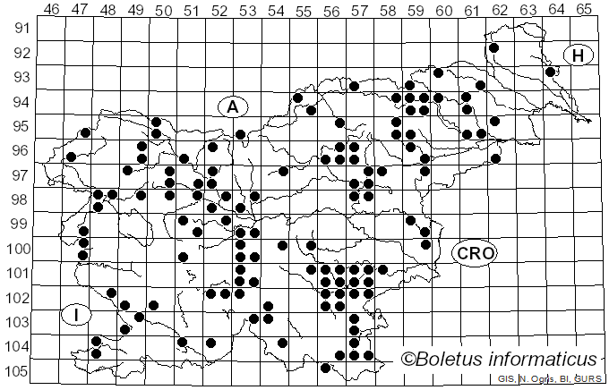 <i>Cortinarius infractus</i> Berk.