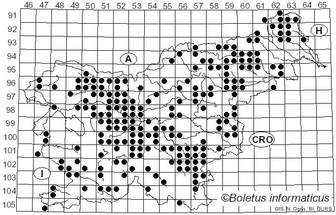 <i>Clitocybe nebularis</i> (Batsch) Quél. (1857)