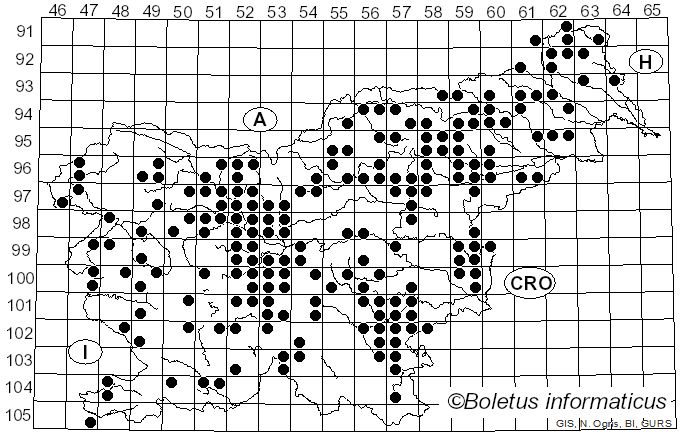 <i>Armillaria ostoyae</i> (Romagn.) Herink (1973)