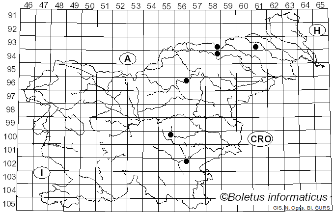 <i>Hebeloma theobrominum</i> Quadr. (1987)