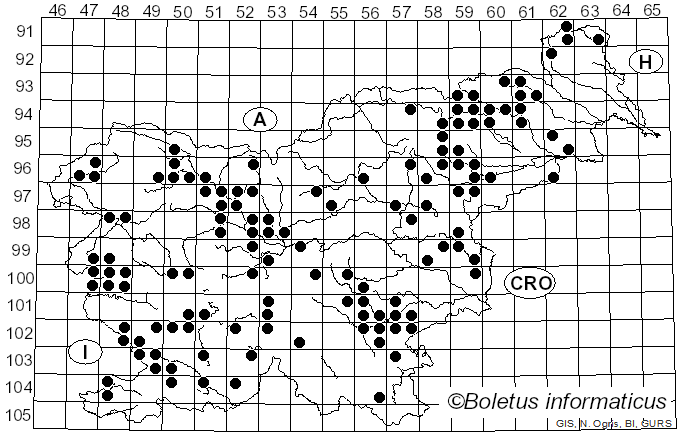 <i>Mycena rosea</i> (Schumach.) Gramberg (1912)
