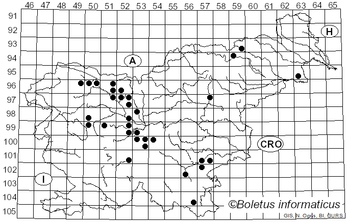 <i>Rhizocybe pruinosa</i> (P. Kumm.) Vizzini, P. Alvarado & G. Moreno (2015)