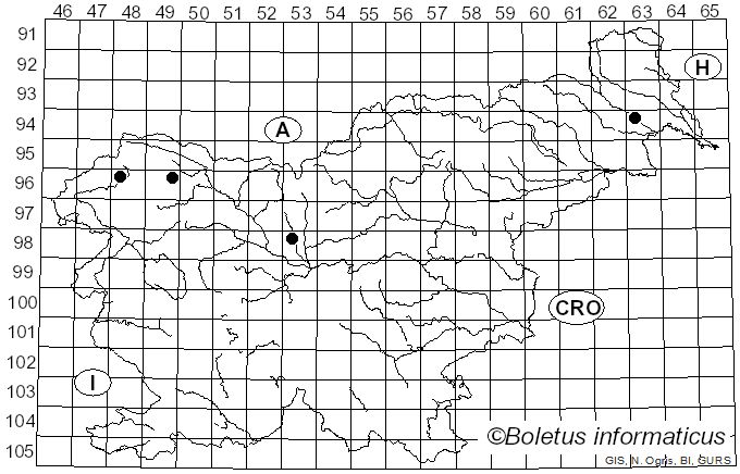 <i>Heterotrichia obvelata</i> (Oeder) Yatsiuk, Leontyev & Schnittler (2024)
