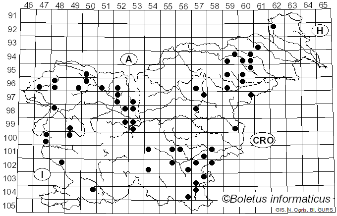 <i>Chondrostereum purpureum</i> (Pers.) Pouzar (1959)
