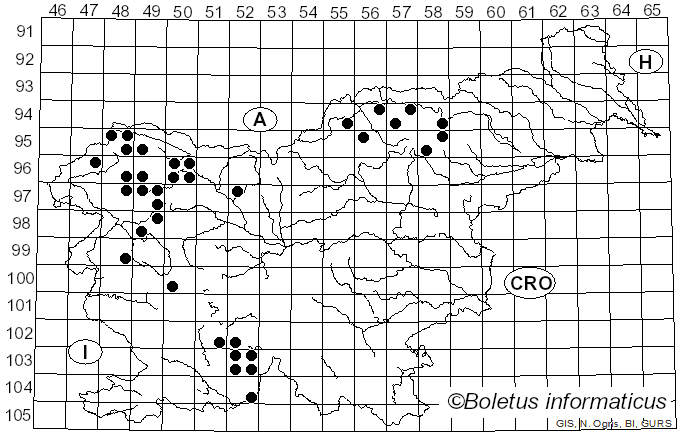 <i>Melanohalea exasperatula</i> (Nyl.) O. Blanco, A. Crespo, Divakar, Essl., D. Hawksw. & Lumbsch (2004)