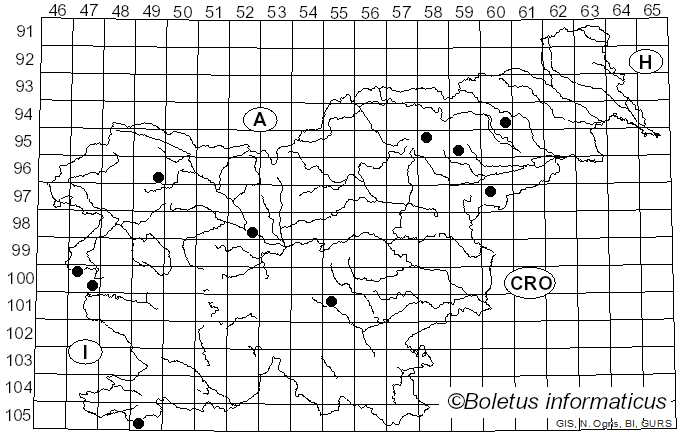 <i>Scutellinia trechispora</i> (Berk. & Broome) Lambotte (1887)