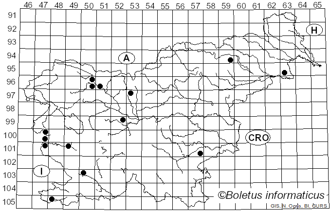 <i>Lachnella</i> Fr. (1836)