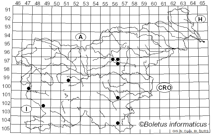 <i>Crepidotus lundellii</i> Pilát (1936)