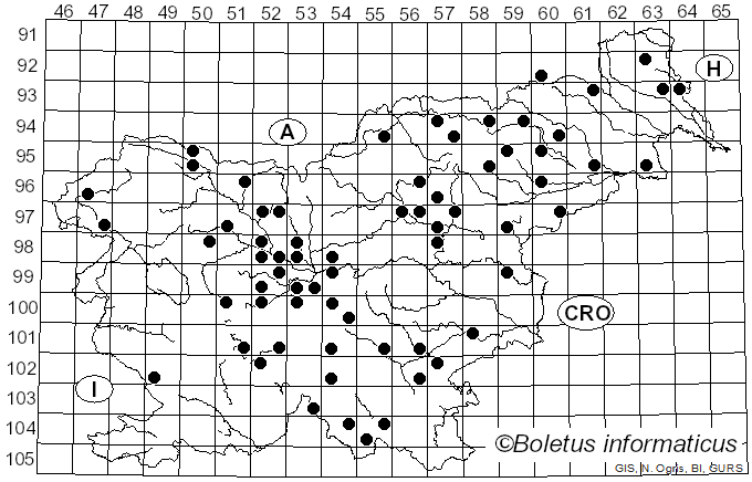 <i>Lactifluus pergamenus</i> (Sw.) Kuntze (1891)