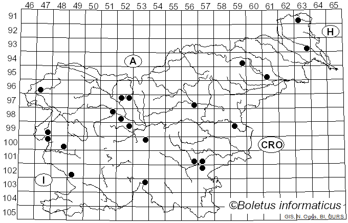 <i>Lepista rickenii</i> Singer (1948)