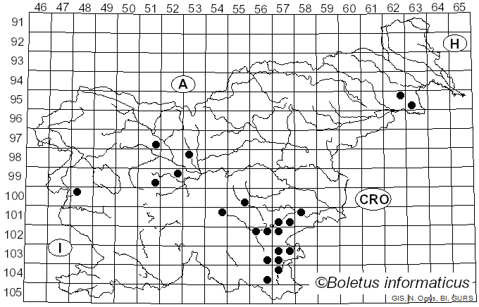 <i>Climacodon pulcherrimus</i> (Berk. & M.A. Curtis) M.I. Nikol. (1961)