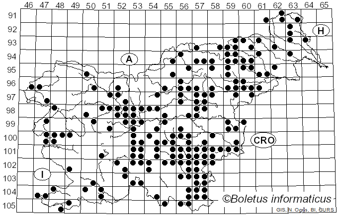<i>Candolleomyces candolleanus</i> (Fr.) D. Wächt. & A. Melzer (2020)