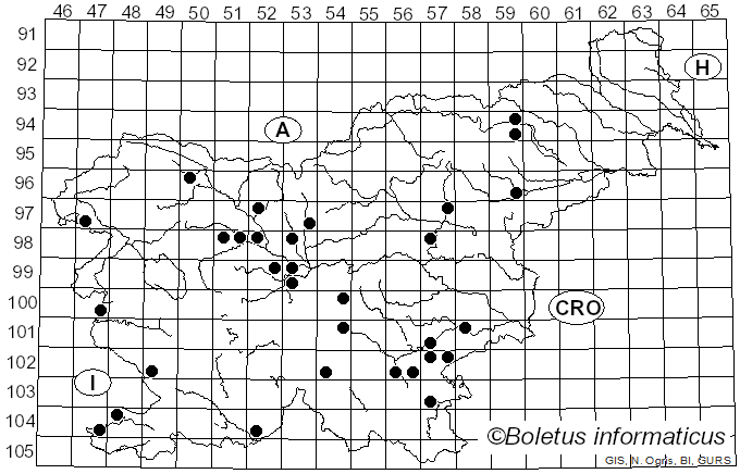 <i>Leucocoprinus</i> Pat. (1888)