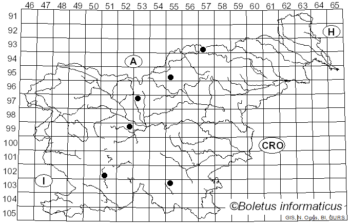 <i>Sirococcus strobilinus</i> Preuss (1853)
