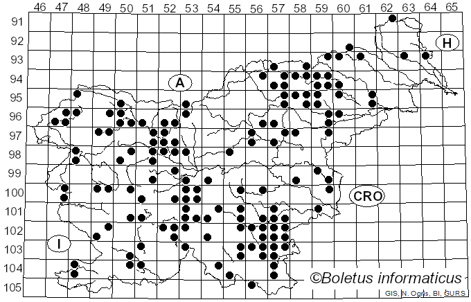 <i>Pycnoporus</i> P. Karst. (1881)