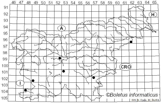 <i>Calonarius sulfurinus</i> (Quél.) Niskanen & Liimat. (2022)