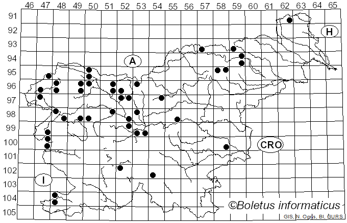 <i>Hygrophorus lucorum</i> Kalchbr. (1874)
