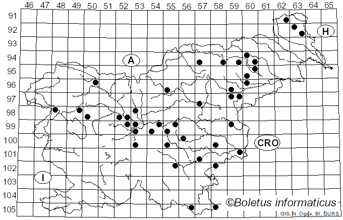 <i>Stemonitis fusca</i> Roth (1787)