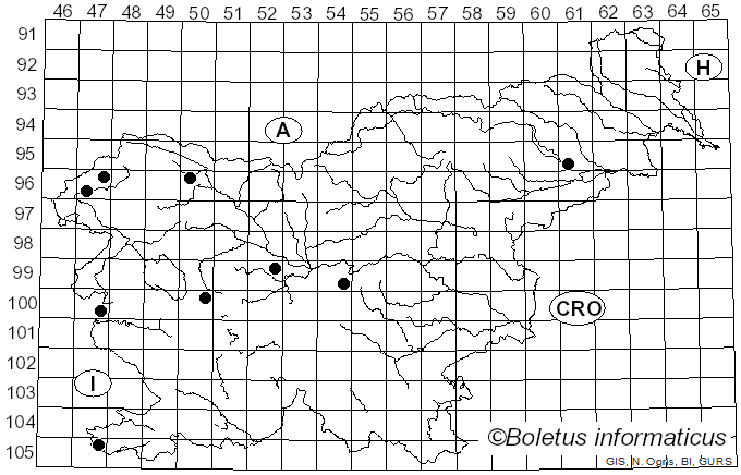 <i>Phloeomana speirea</i> (Fr.) Redhead (2013)