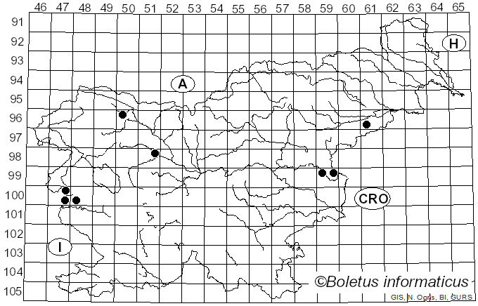 <i>Conocybe arrhenii</i> (Fr.) Kits van Wav. (1970)