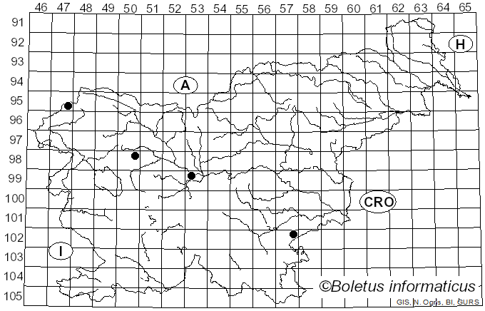 <i>Rhizocarpon</i> Ramond ex DC. (1805)