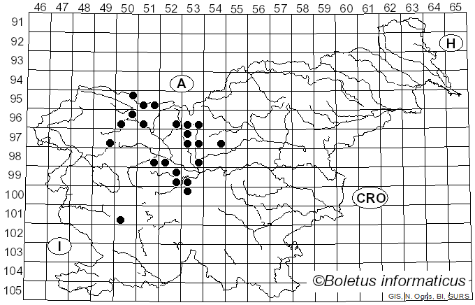 <i>Sphaerella</i> (Fr.) Rabenh. (1856)