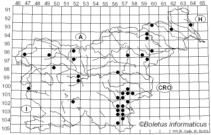 <i>Pluteus plautus</i> (Weinm.) Gillet (1876)