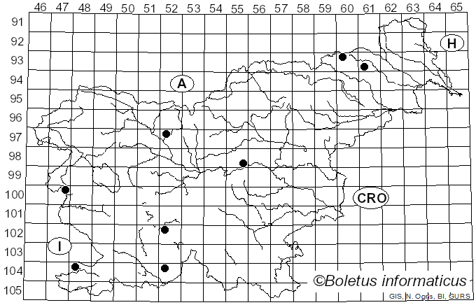 <i>Calonarius xanthochlorus</i> (Rob. Henry) Niskanen & Liimat. (2022)